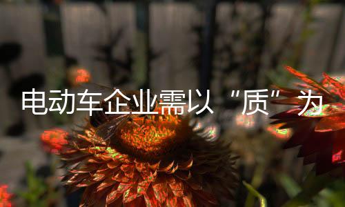 质电动车行业态势萎靡