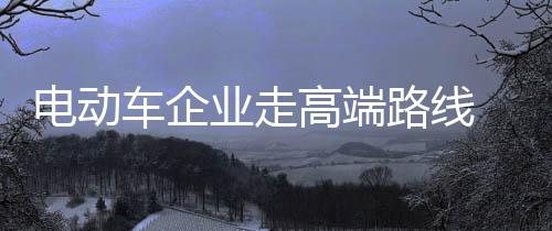 对于电动车企业来说