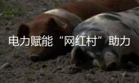 电力赋能“网红村”助力乡村振兴