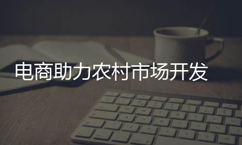 但是电商农村市场相对偏远