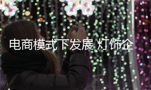 项目成功的电商几率也就越大