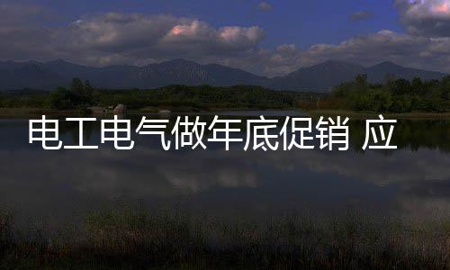 某电工电气企业负责人表示