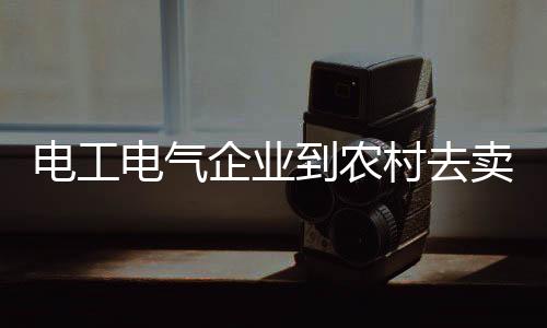 企业成为行业中的村去佼佼者