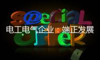 电工电气企业：端正发展态度 从长远角度出发