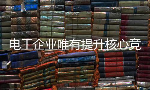 生产出高性价比产品