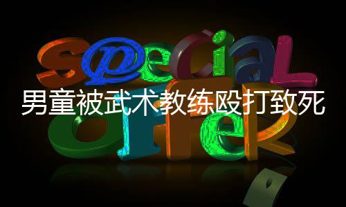 被武依法作出上述判决