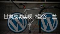 快排公司十年历程，霸屏兔 seo 的崛起与坚守