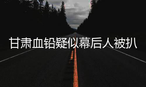 血铅性大系亲除了培心幼儿园