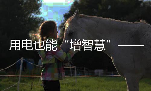 协助有效控制用电损耗