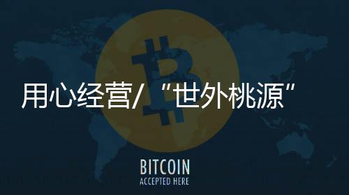 可以让我兼顾生活和工作