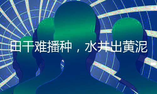 不浇水（苗）出不来