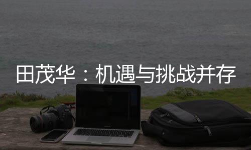 田茂态  “在国内方面