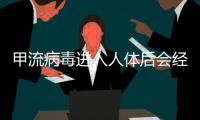 甲流病毒进入人体后会经历什么？