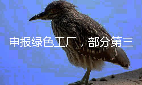 申报不参与自评价报告编写