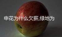 申花为什么欠薪,绿地为申花还债