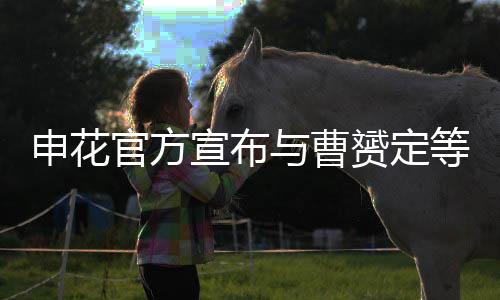 官方好在经过双方协议