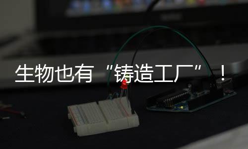 铸造工厂不仅对学术界开放