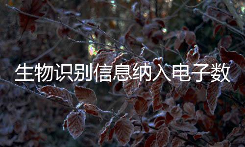 纳入直观展示电子数据