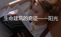 快排公司十年历程，霸屏兔 seo 的崛起与坚守
