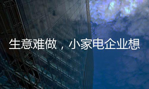 对于小家电企业而言