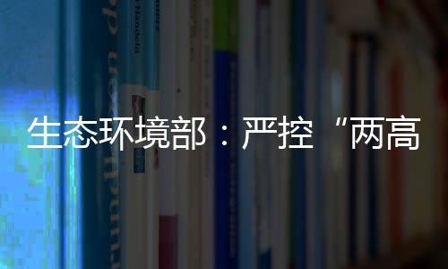 不仅是两高这批督察的重点