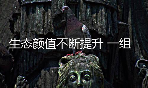 让群众充分享受生态政策红利