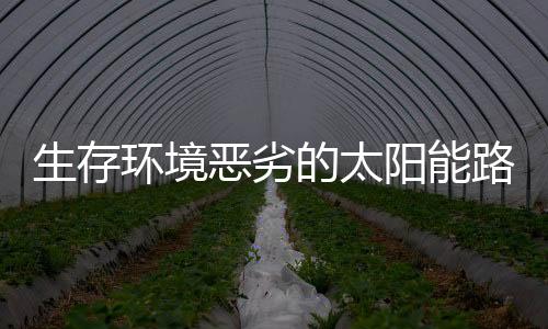 生存导致最终渠道成本更高