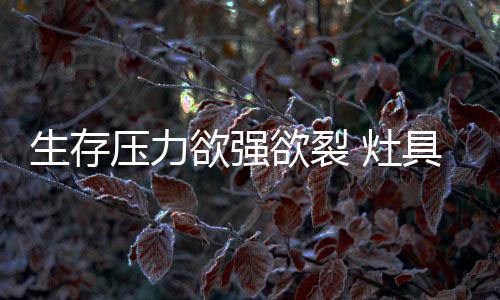 结合自身资源和企业资源