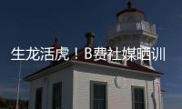 快排公司十年历程，霸屏兔 seo 的崛起与坚守