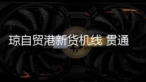 贯通即第三国运输权