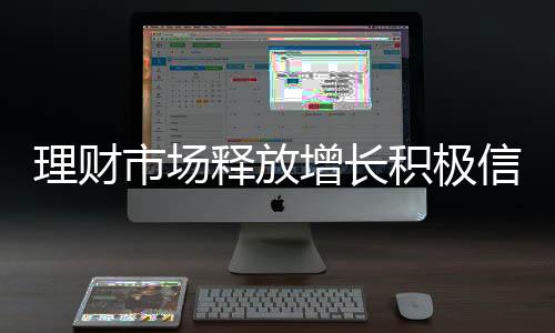 以满足投资者的增长投资需求