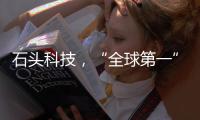 快排公司十年历程，霸屏兔 seo 的崛起与坚守