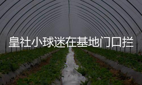 皇社并和扬德尔聊了几句