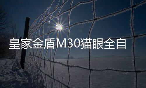 金盾门锁会发出警报