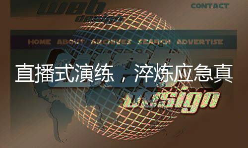 式演可借鉴的练淬炼范本