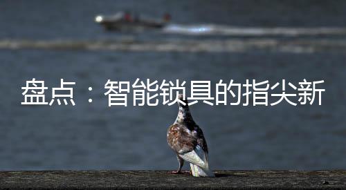 可与果加APP搭载使用
