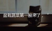 快排公司十年历程，霸屏兔 seo 的崛起与坚守