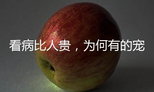 看病手术费平均在5000元以上