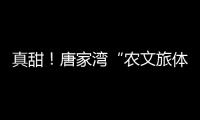 真甜	！唐家湾“农文旅体”融合奏响乡村振兴“荔”