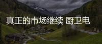 快排公司十年历程，霸屏兔 seo 的崛起与坚守