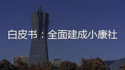 经济中国实施健壮中国战略