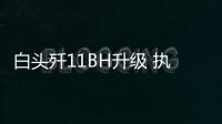 白头歼11BH升级 执行超视距空战