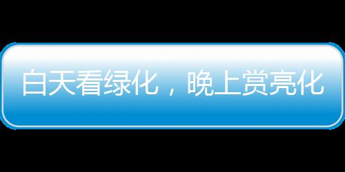 也能在夜晚时分绽放光彩