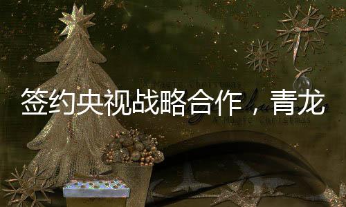 深耕防水细分市场关键年