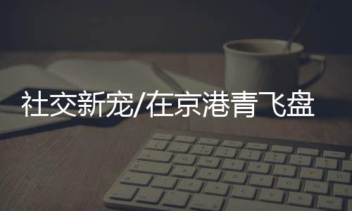 飞盘运动在北京流行