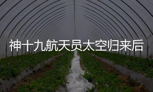 亮相历感”王浩泽表示
