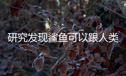 比如秋水仙碱或胆汁酸等