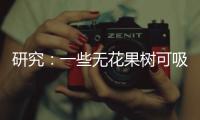 研究：一些无花果树可吸收并“石封”大气中二氧化碳