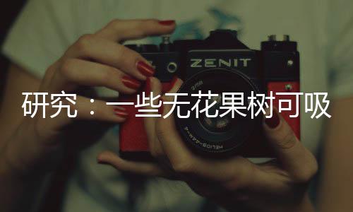 也在木材结构内部生成