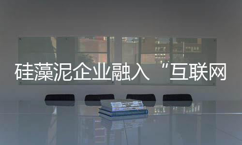 新发展的硅藻大战略